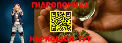 mix Новодвинск