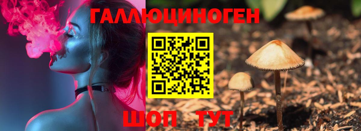 Рузаевка  Псилоцибиновые грибы прущие грибы  Галлюциногенные грибы ЛСД  Вход с VPN 